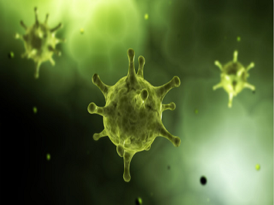 Prueba de anticuerpos rápidos: nuevo coronavir