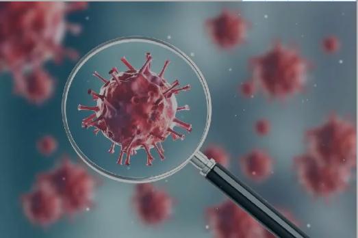 Esquema de aplicación para la detección de un nuevo antígeno de Coronavirus - Parte 1